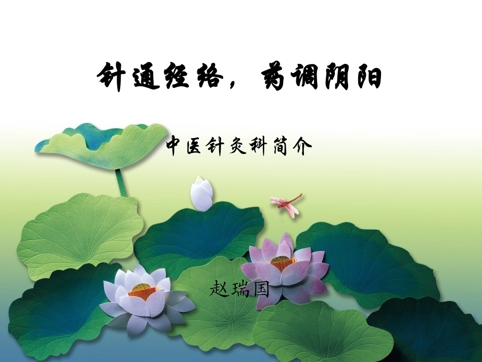 中医针灸科简介荷花版概述_第1页