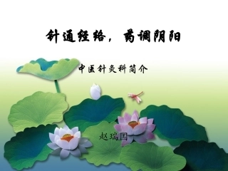 中医针灸科简介荷花版概述