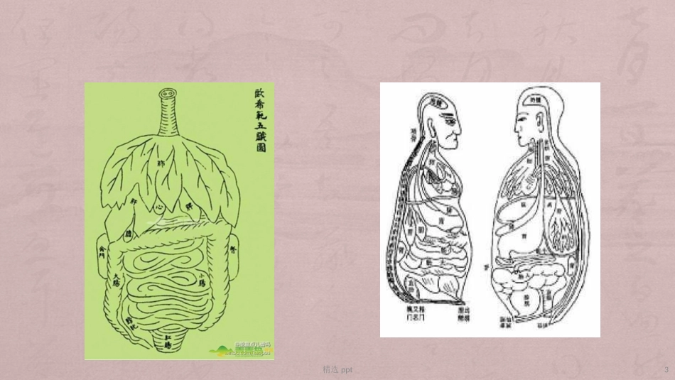 中医中药在肛肠科的应用_第3页
