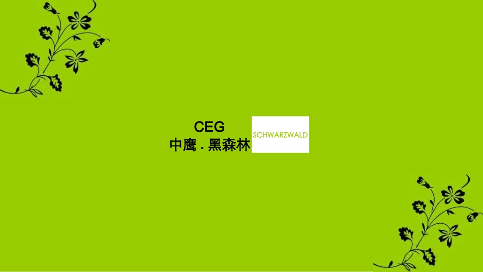 中鹰黑森林个案分析_第1页