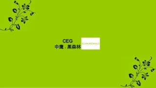 中鹰黑森林个案分析