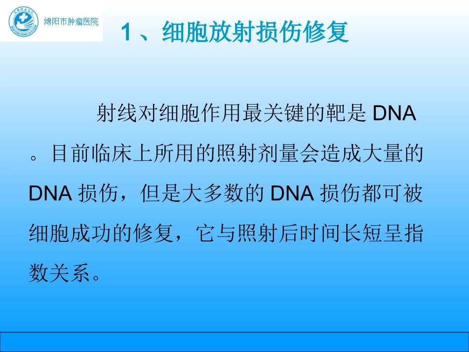 肿瘤放射治疗剂量分割_第3页