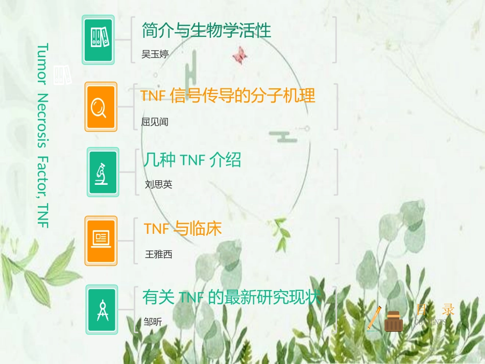 肿瘤坏死因子TNF图文_第2页