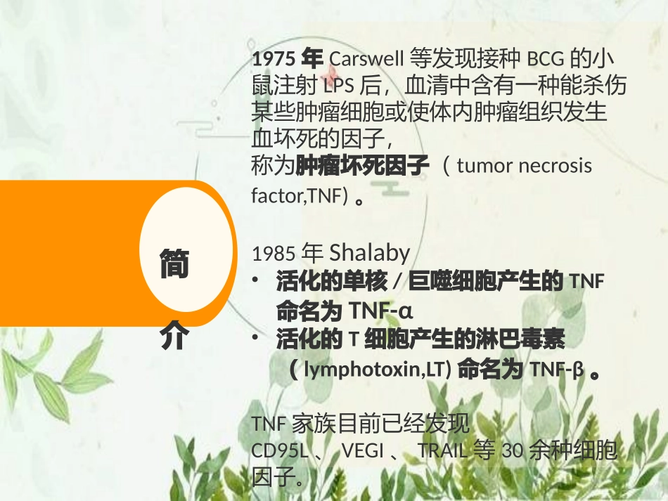 肿瘤坏死因子TNF图文_第3页