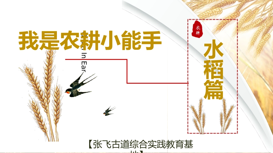 种植水稻课件_第3页