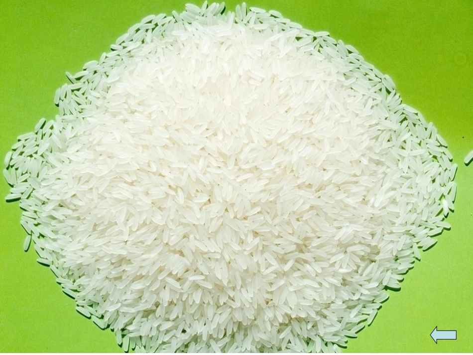 种子贴画课件_第2页