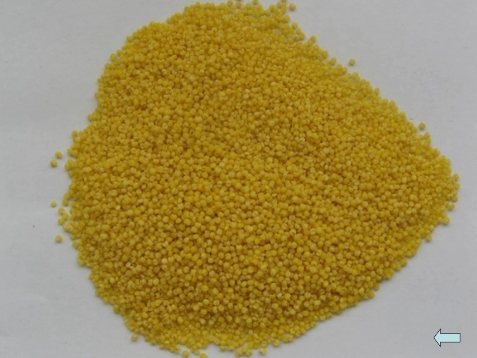 种子贴画课件_第3页