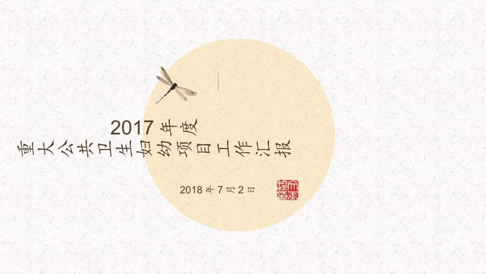 重大公卫妇幼项目工作汇报_第1页