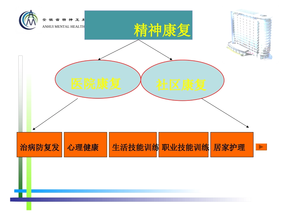 重性精神病家属健康教育_第2页