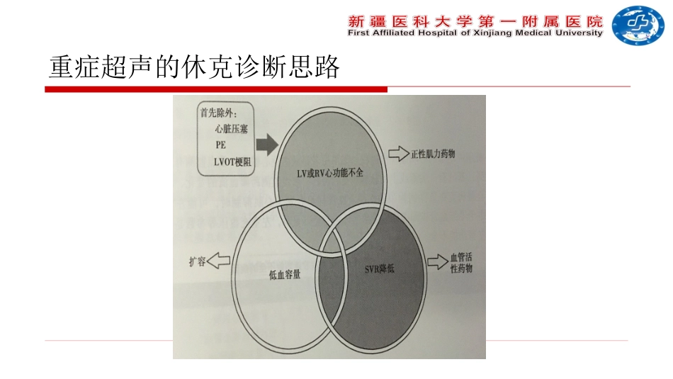 重症超声和血流动力学_第2页