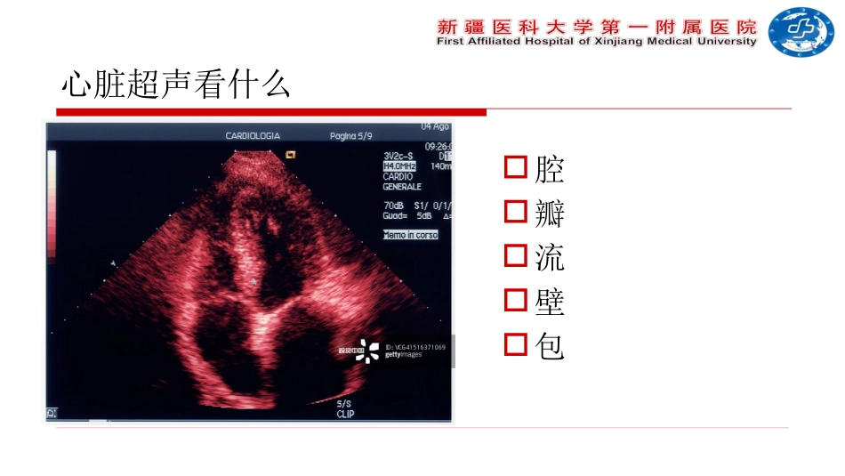 重症超声和血流动力学_第3页