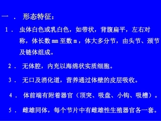 猪带绦虫牛带绦虫