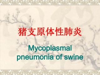 猪支原体性肺炎