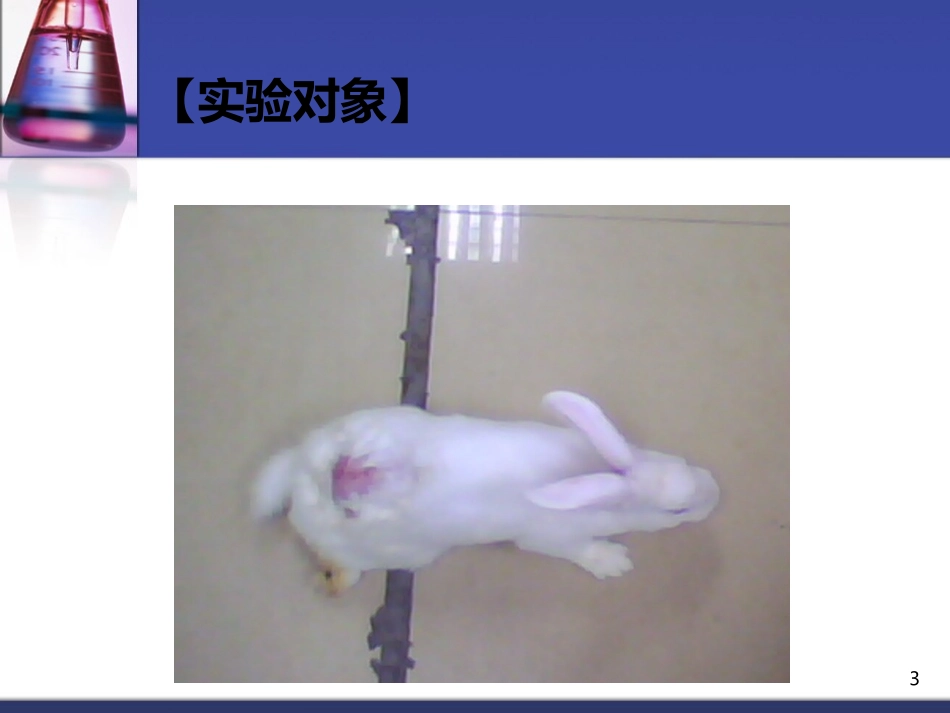 蛛网膜下腔阻滞_第3页