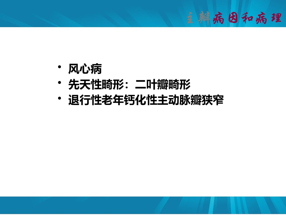 主动脉瓣疾病_第2页