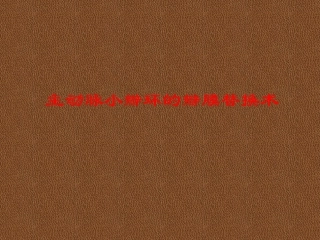 主动脉小瓣环的瓣膜替换术