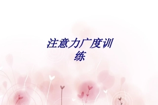 注意力广度训练专题培训课件
