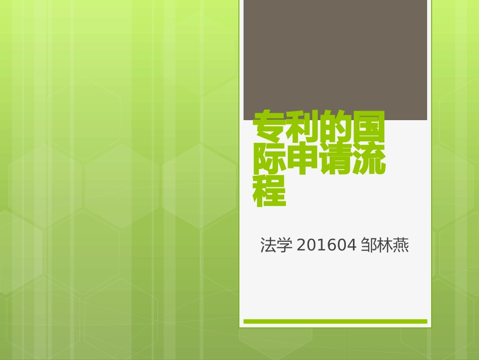 专利的国际申请_第1页