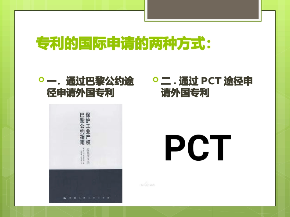 专利的国际申请_第2页