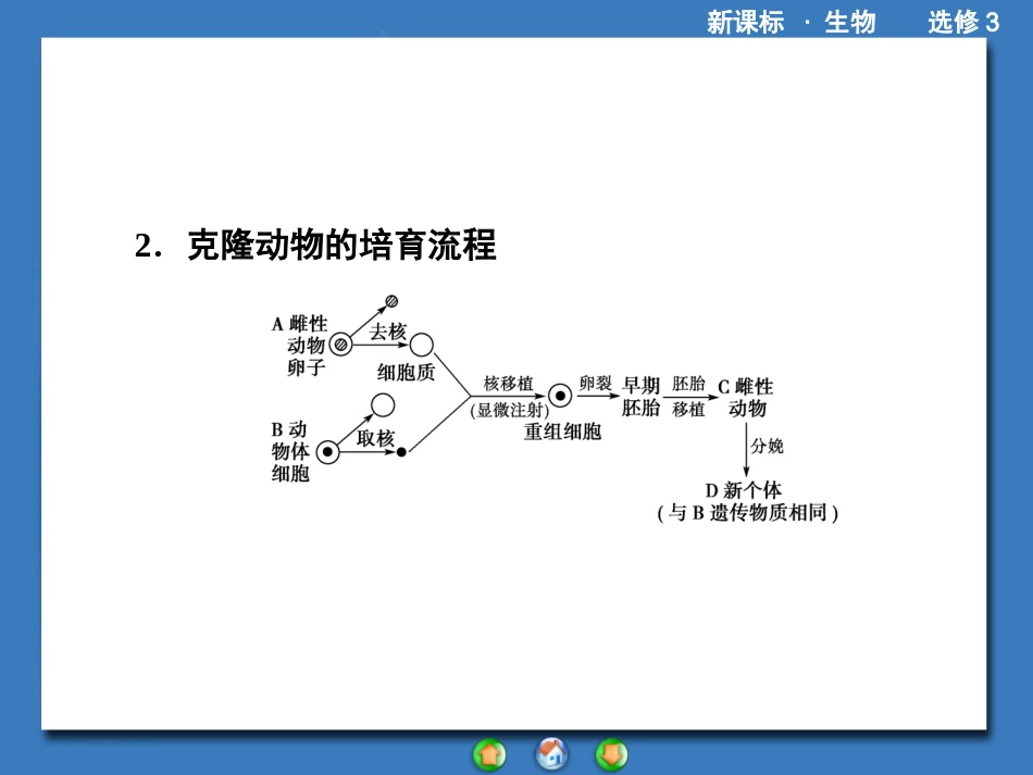 专题归纳专题胚胎工程_第3页