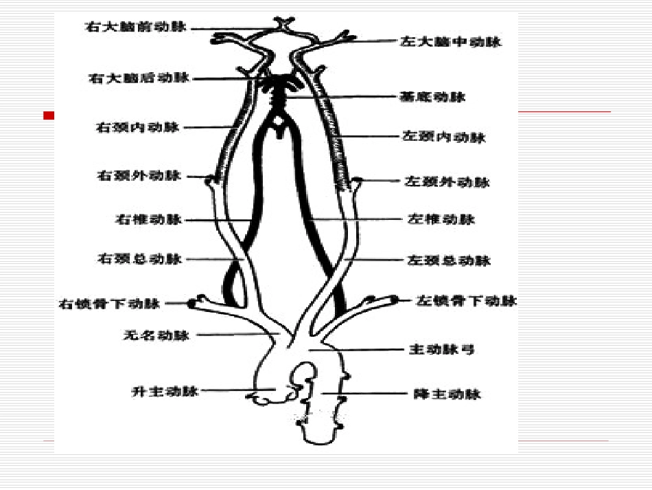 椎基底动脉供血不足业务学习_第3页