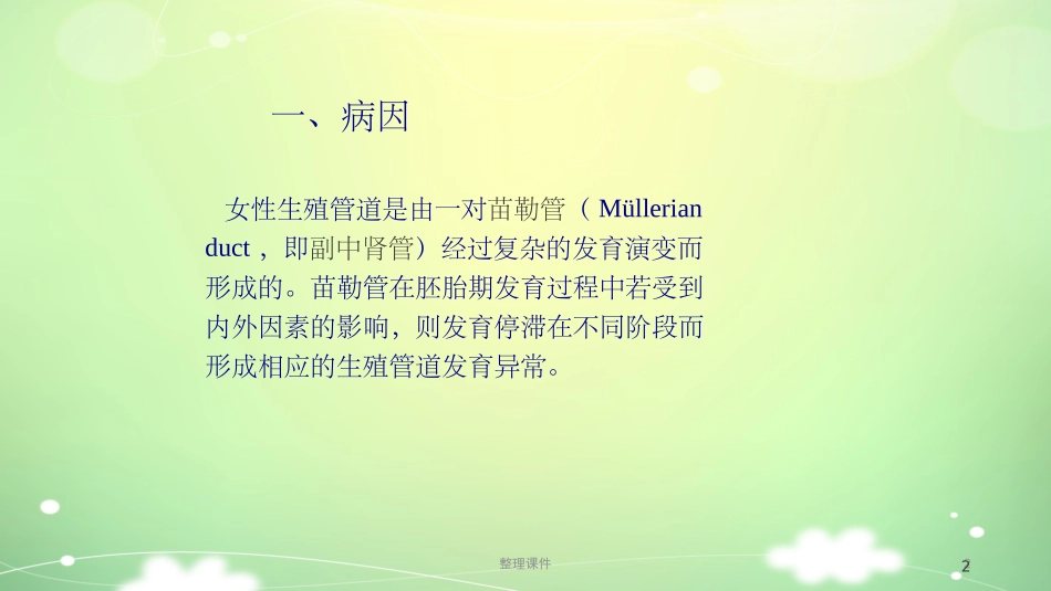 子宫发育异常_第2页