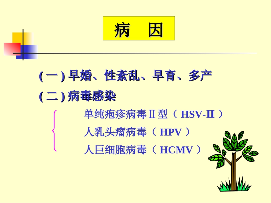 子宫颈癌课件_第2页