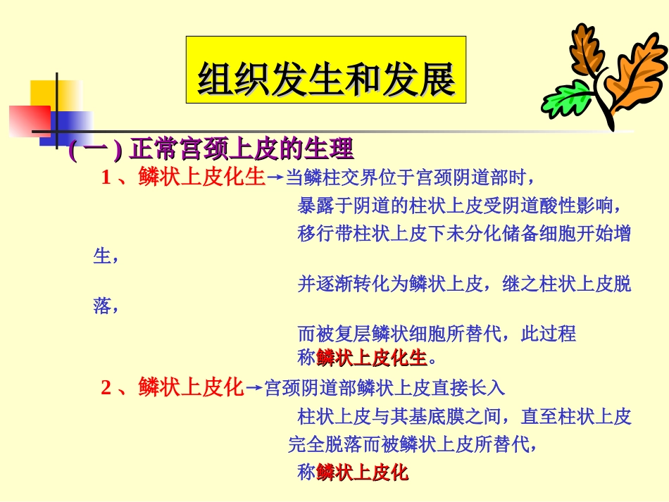 子宫颈癌课件_第3页