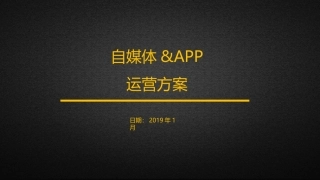 自媒体运营方案APP运营