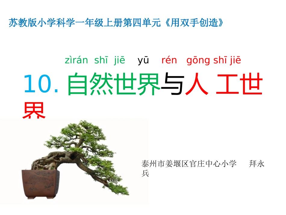 自然世界和人工世界_第1页