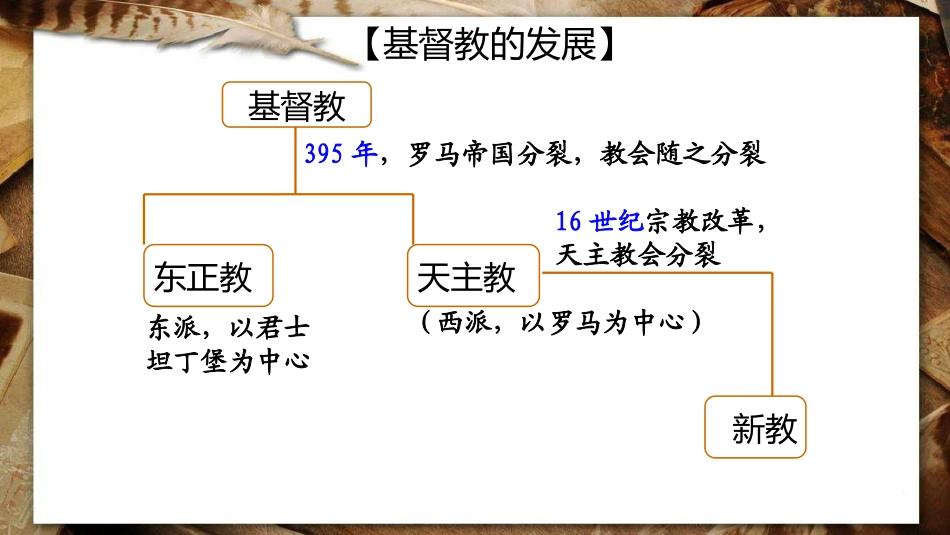 宗教改革课件_第3页