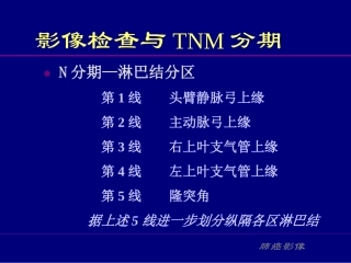 纵隔淋巴结分区