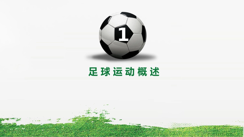 足球运动简介_第3页