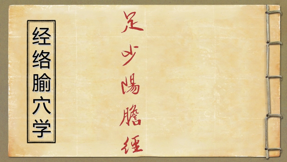 足少阳胆经详解_第1页