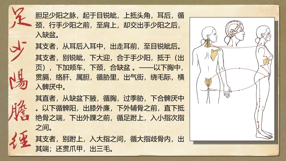 足少阳胆经详解_第2页
