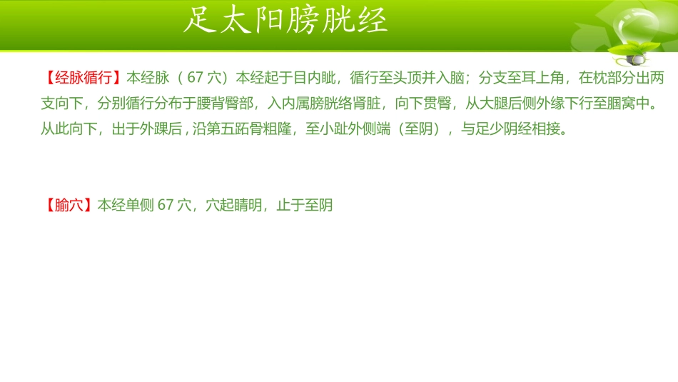 足太阳膀胱经_第2页