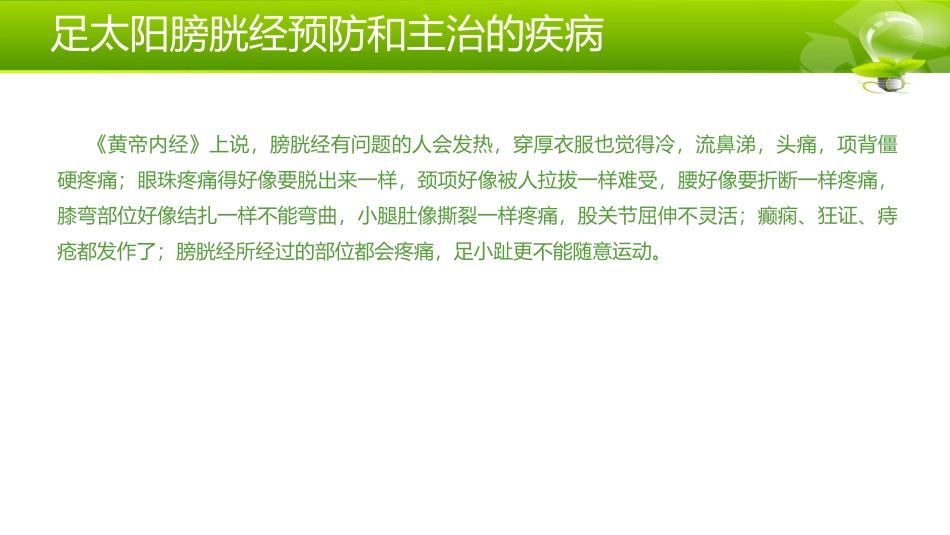 足太阳膀胱经_第3页