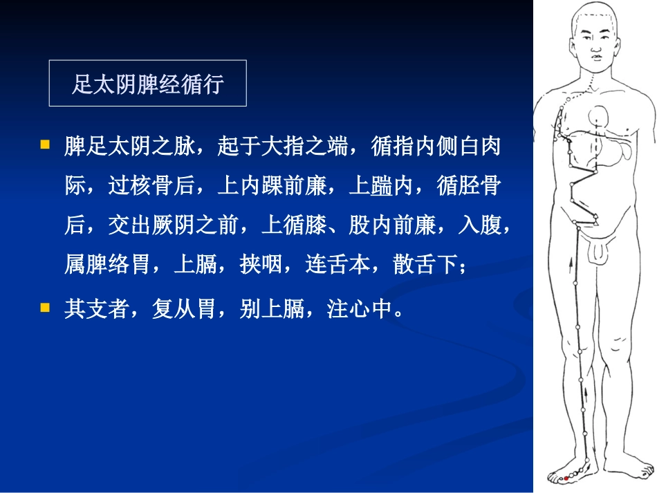 足太阴脾经概述_第3页
