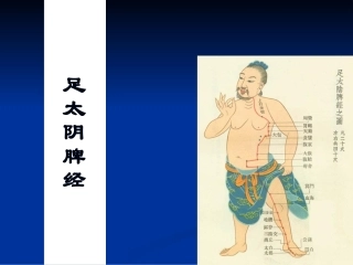 足太阴脾经概述