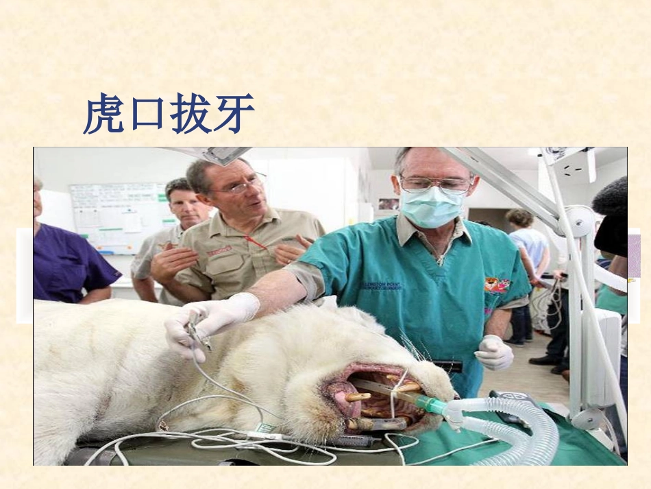 阻生牙拔除术_第2页