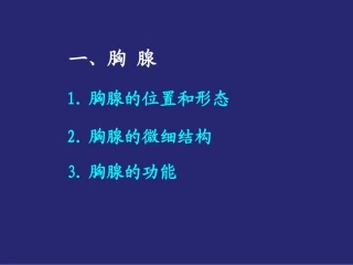 组织胚胎学第十五章淋巴系统