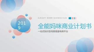 最新电商行业母婴垂直平台B轮商业计划书BP