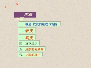 最新皮肤专业知识讲座主题讲座课件