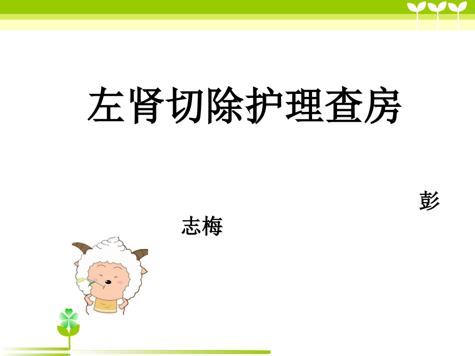 左肾切除护理查房_第1页