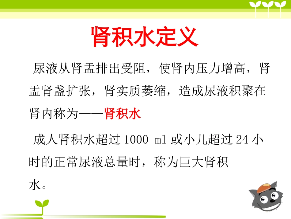 左肾切除护理查房_第3页