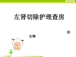 左肾切除护理查房