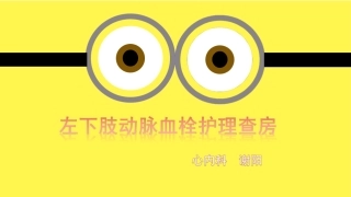 左下肢动脉血栓护理查房