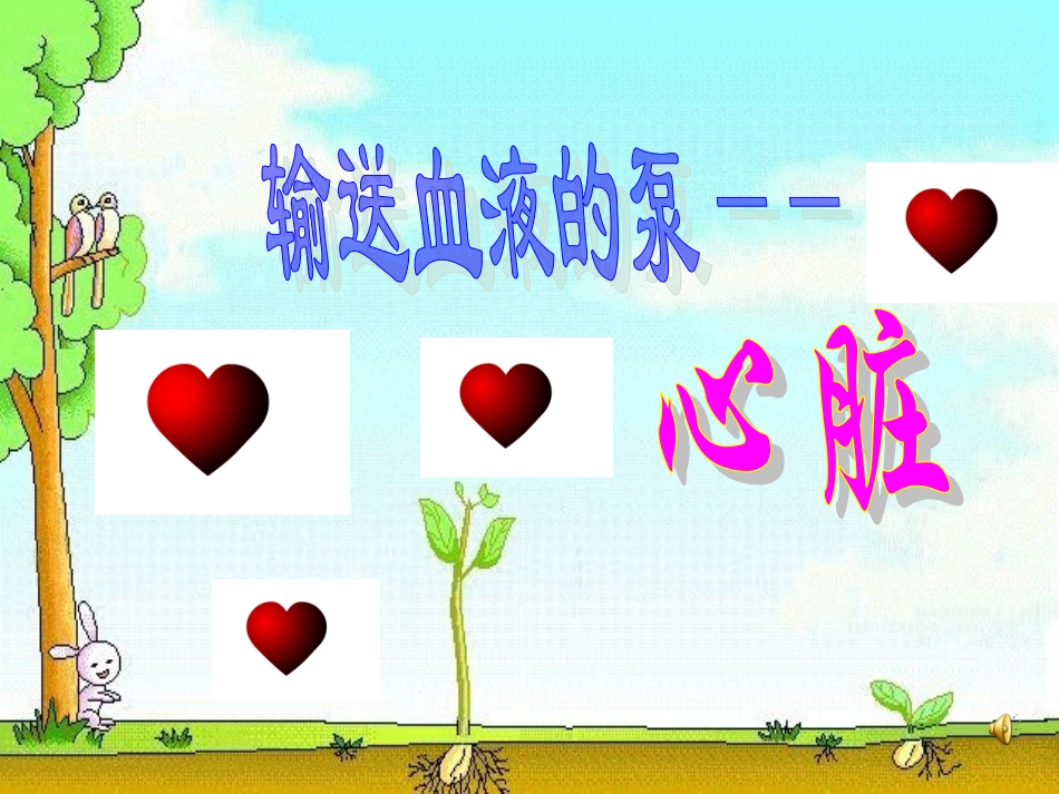 左心房右心室右心房_第1页