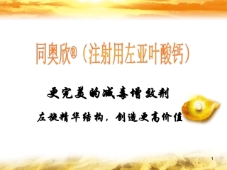 左亚叶酸钙幻灯片课件