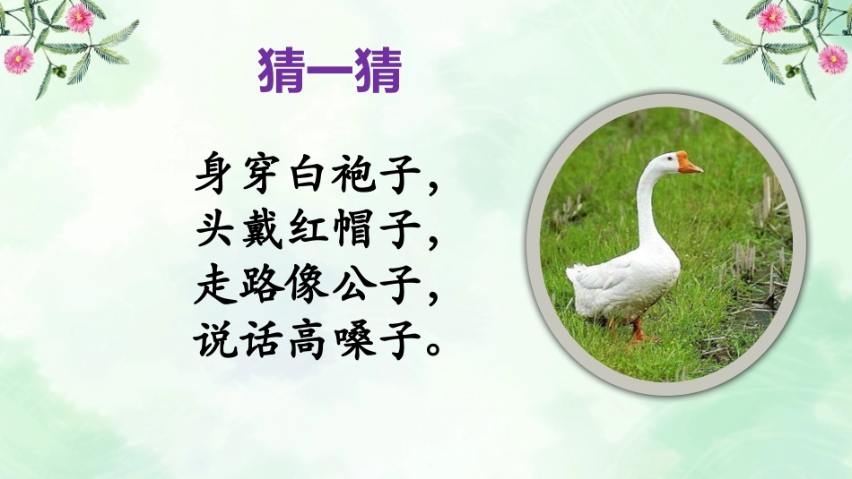 作家笔下的鹅_第2页